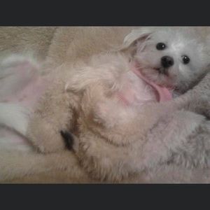 Meet your Posher, Kathy